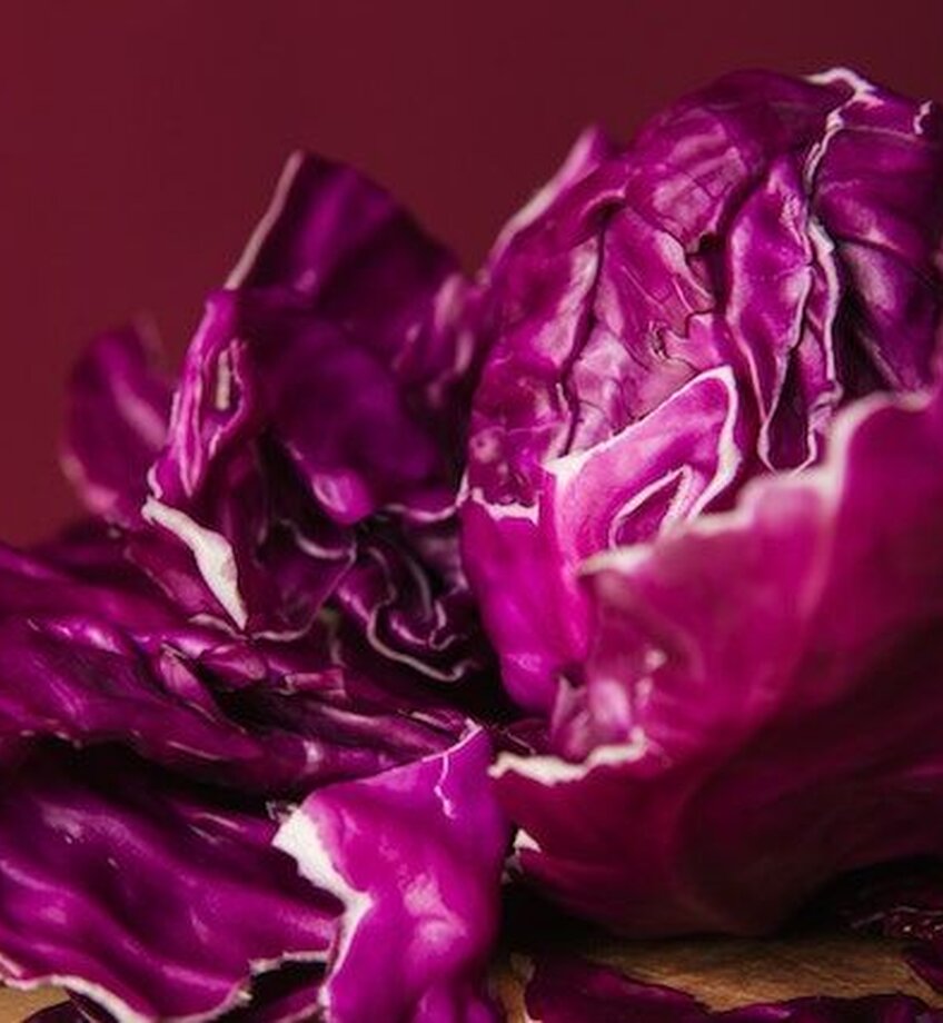 Red Cabbage in Close-Up